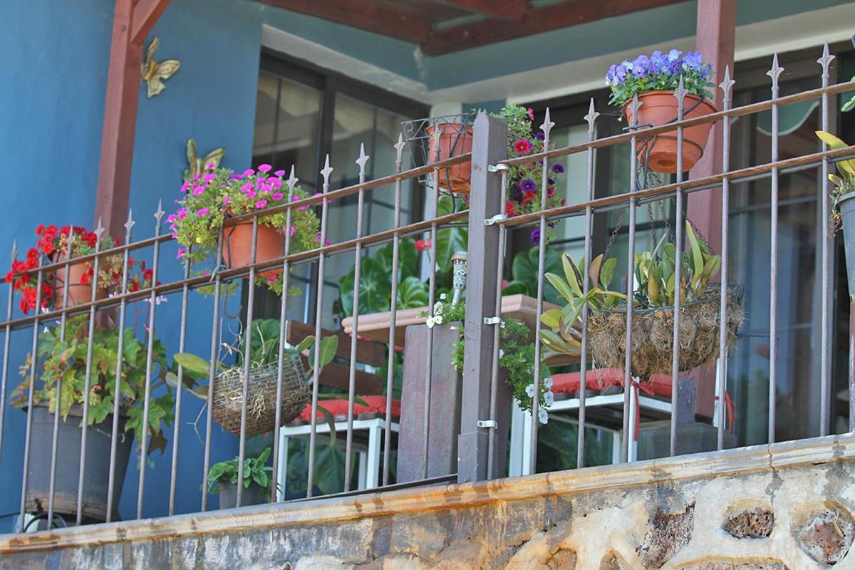 Casa Rosales With Pool & Wifi Villa Puntagorda  Exterior photo