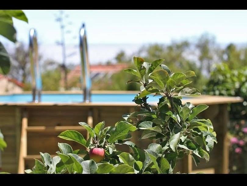 Casa Rosales With Pool & Wifi Villa Puntagorda  Exterior photo